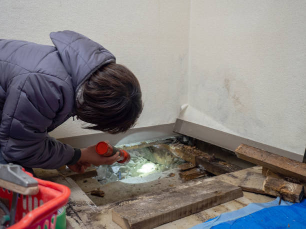 Best Mold Remediation for Rental Properties  in Mahopac, NY
