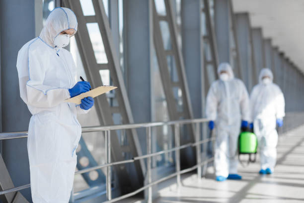 Best Water Damage & Mold Remediation  in Mahopac, NY