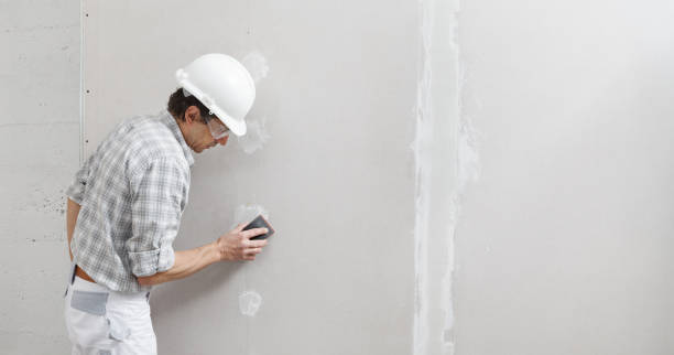 Best Mold Prevention Services  in Mahopac, NY