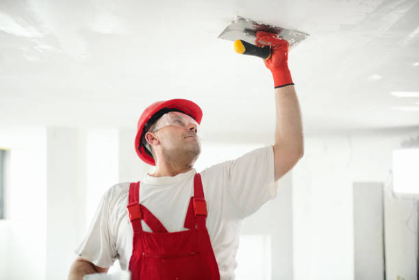 Best Real Estate Mold Inspection  in Mahopac, NY