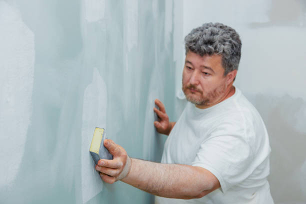 Best Comprehensive Air Testing for Mold Contaminants  in Mahopac, NY